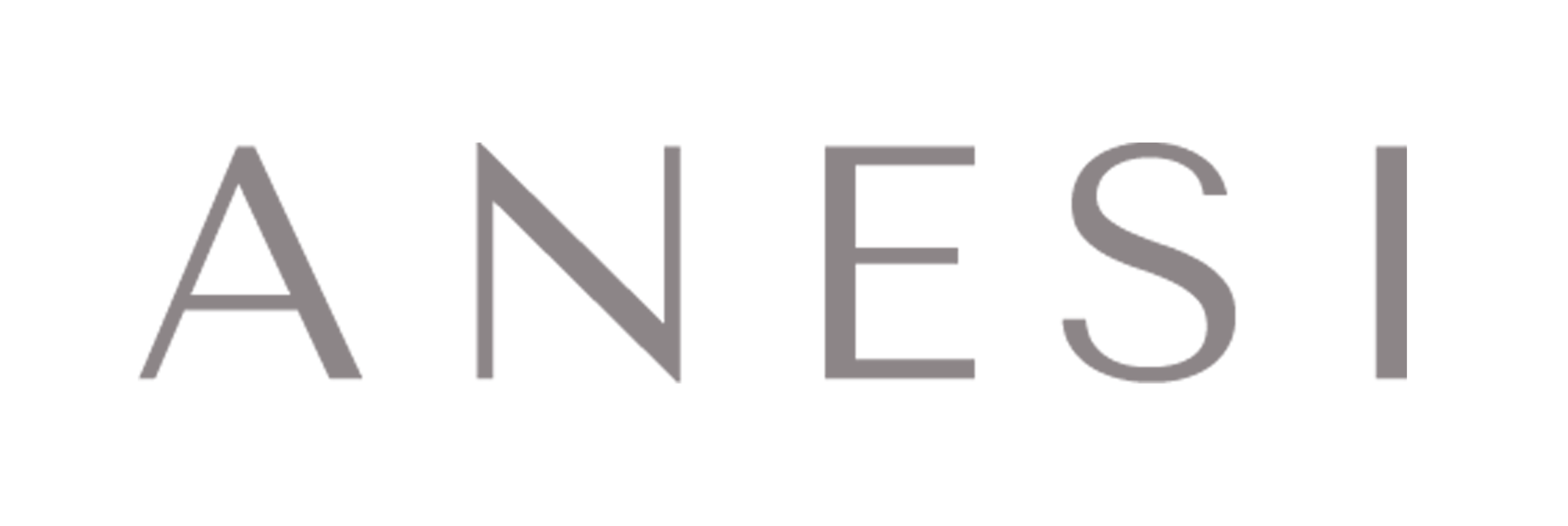 Anesi logo